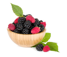 Blackberry and raspberry