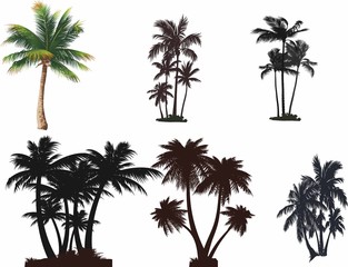 Fototapeta Palmiye ağaçları seti obraz