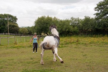 Lunging