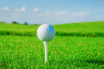 Golf club. Green field and ball in grass