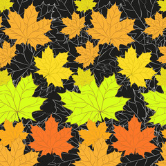 Листья осенью © webster8