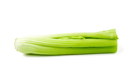 celery isolated on white