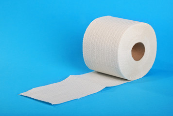 Single roll of toilet paper