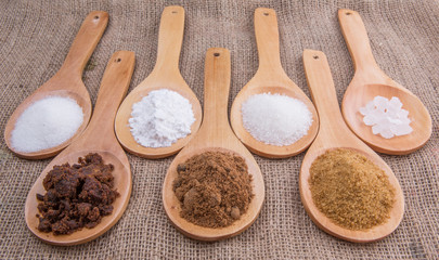 Various type of sugar on wooden spoon