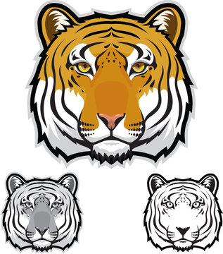 Tiger Face