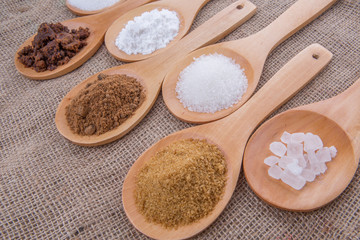 Various type of sugar on wooden spoon