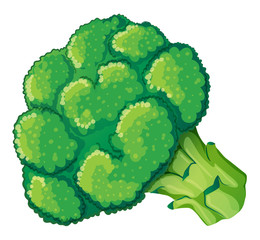 A broccoli