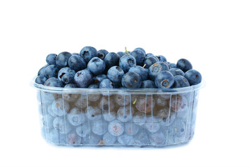 Blueberries isolated