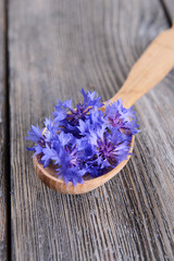 Fototapeta na wymiar Cornflowers in wooden spoon on table close-up