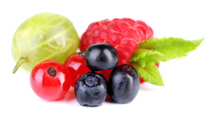 Forest berries isolated on white