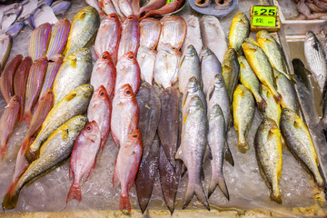Fischmarkt in Asien