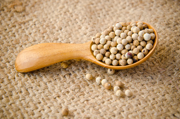 Allspice peppercorns in wooden spoon