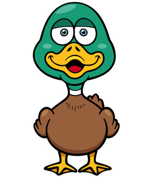 Vector illustration of Cartoon Duck