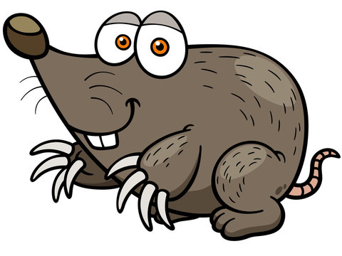Vector illustration of cartoon mole