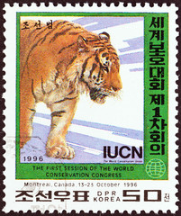 Tiger (North Korea 1996)