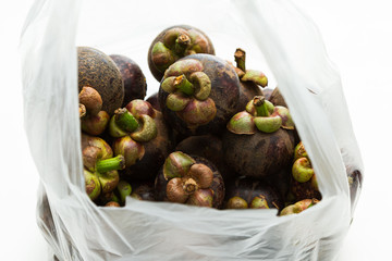 mangosteen