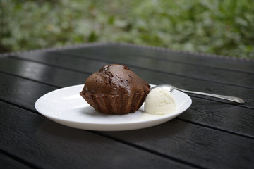 Chocolate cake with ice-cream on white plate