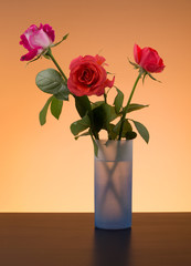 Roses in a vase
