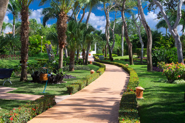 Fototapeta premium Garden