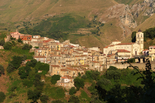 Militello Rosmarino