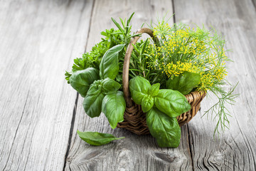 Basket of freshly picked herbs including basil, rosemary, dill a © motorolka