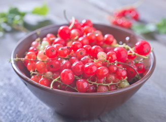 red currant
