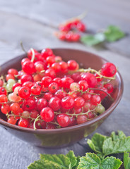 red currant
