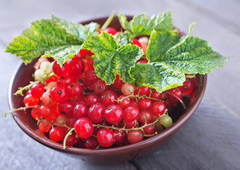 red currant