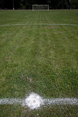 soccer field grass