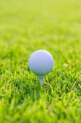 Golf ball on green grass