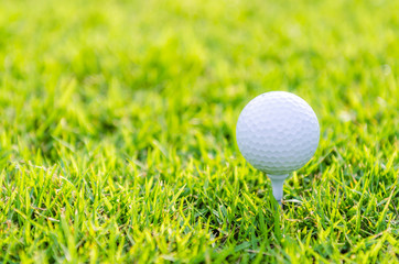 Golf ball on green grass