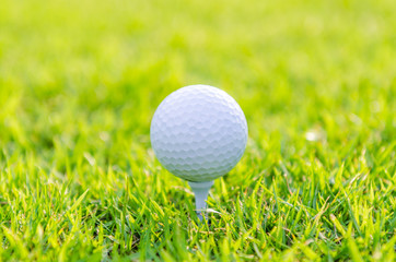 Golf ball on green grass