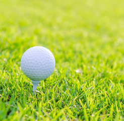 Golf ball on green grass