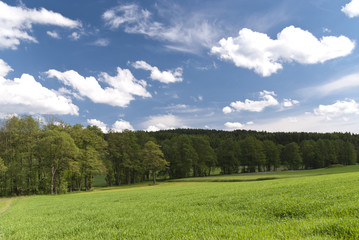 Landscape in Upper Palatinate, Germany