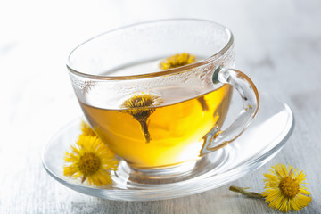 herbal tea with coltsfoot flowers