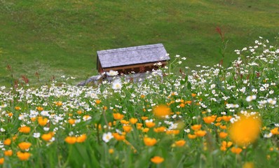 Almhütte in den Bergen