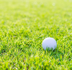 Golf ball on green grass