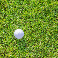 Golf ball on green grass