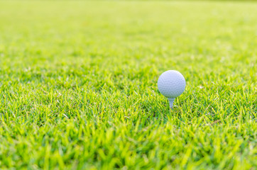 Golf ball on green grass