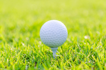 Golf ball on green grass