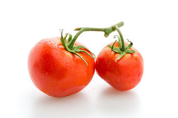 Tomato isolated on white