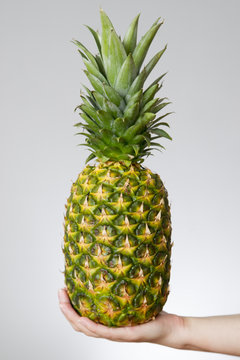 Pineapple in female hands