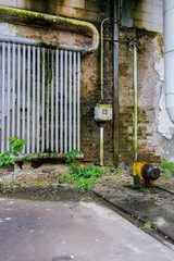 Naklejka premium Vegetation DDR Heizung