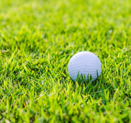 Golf ball on green grass
