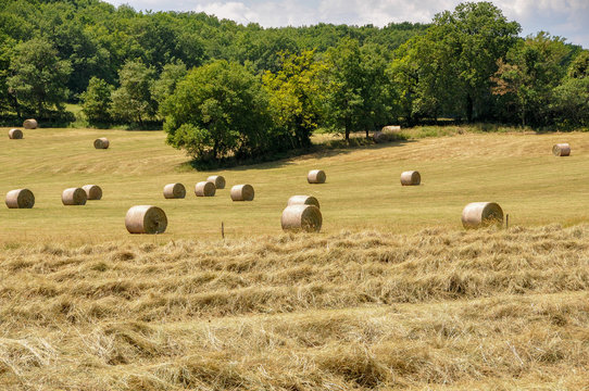 Paysage de campagne