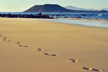 Raamstickers white sand beach in Corralejo, Fuerteventura, Spain © nito