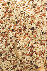 rice grain as background