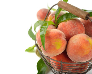 fresh peaches