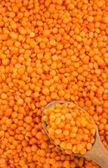 red lentil as background