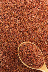 Fototapeta na wymiar rice grain as background